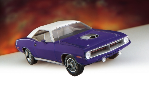 FMint 70Cuda B11WZ60 L jpg